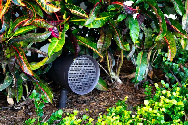 Outdoor speaker detail